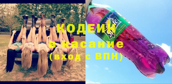 гашик Пересвет